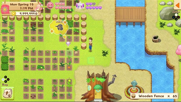 Harvest Moon: Light of Hope SE Complete — 10