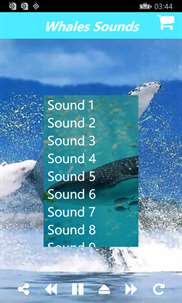 Relaxing Whale Sounds:Sounds of Whales With Music screenshot 4