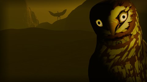 Birds Watching