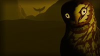 Birds Watching