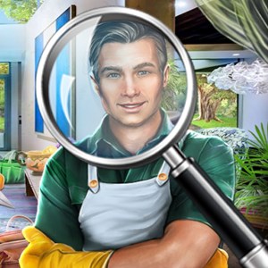 Hidden Object : The Perfect House