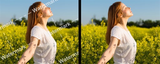 Watermark Remover from Photo | Inpaint marquee promo image