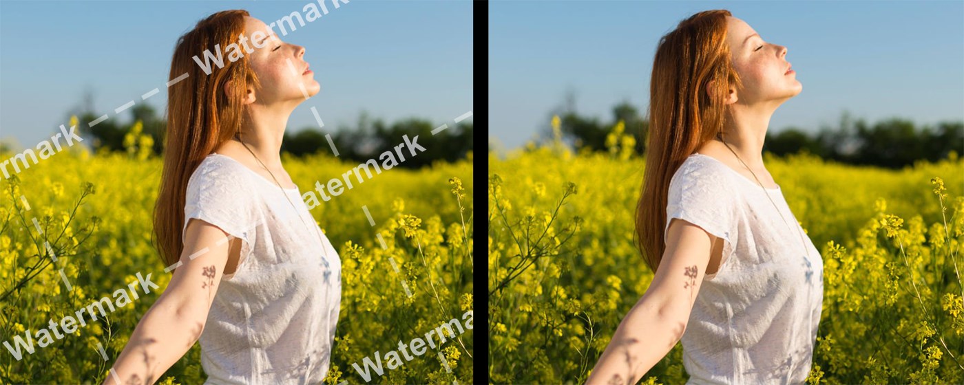 Watermark Remover from Photo | Inpaint