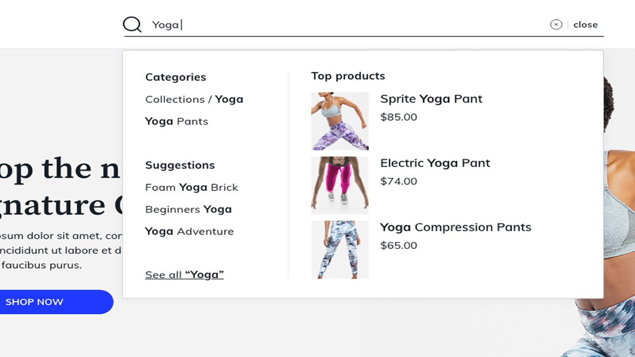 Snapshot 3 of Adobe Commerce