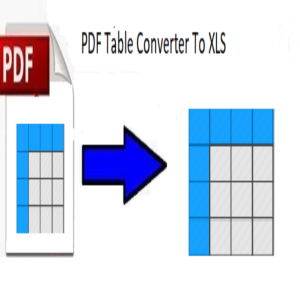 PDF Table Converter to XLS