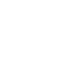 Ion Player