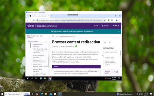 Browser Redirection Extension for Citrix - Boost Performance