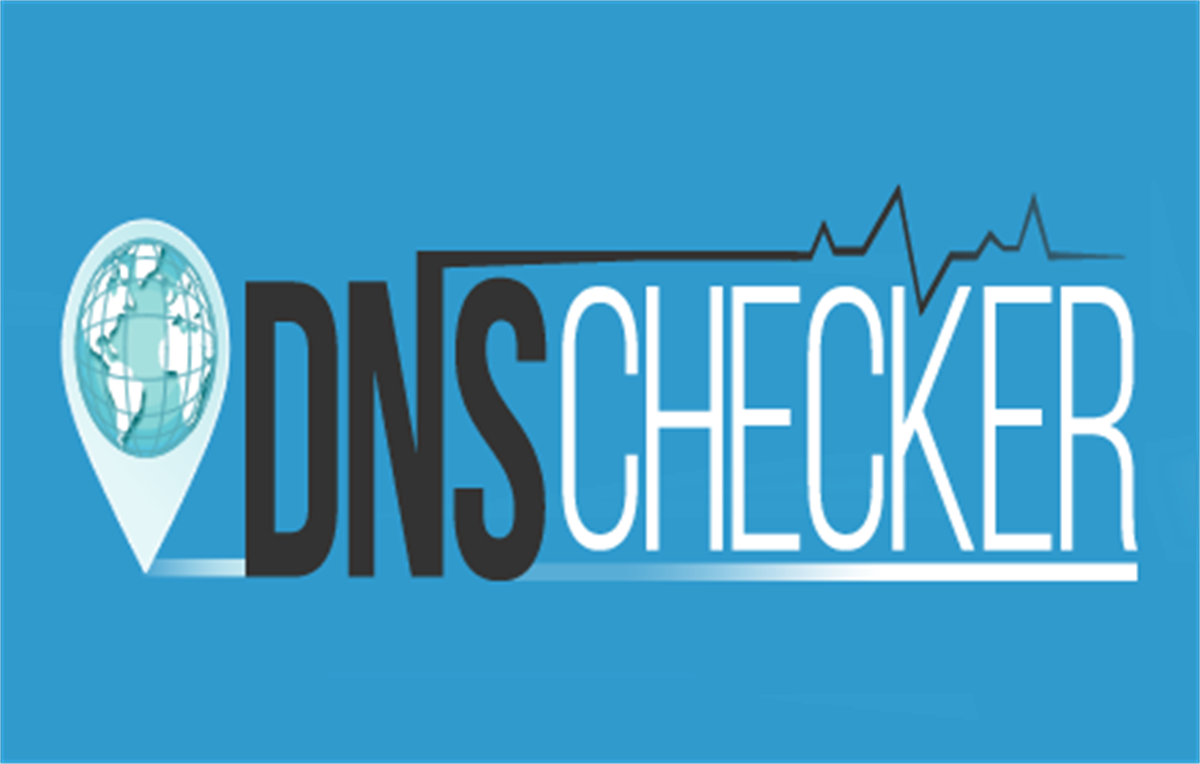 DNS Checker - SEO and Domain Analysis