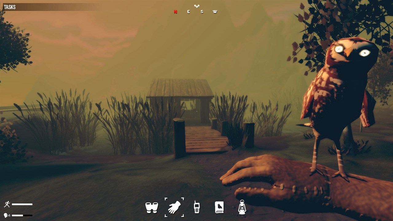 Birds Watching screenshot 1