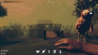 Birds Watching screenshot 1