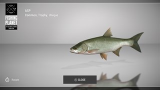 LIVE FISHING PLANET