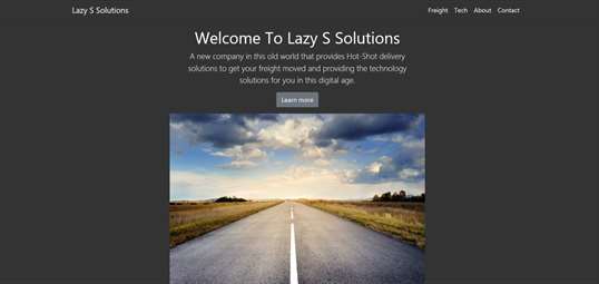Lazy S Solutions screenshot 1