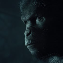 Aperçu LA PLANÈTE DES SINGES : DERNIÈRE FRONTIÈRE