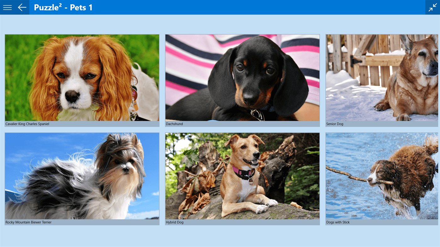 #3. Puzzle² - Pets 1 (Windows) 来自: fonaps.com