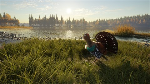 theHunter: Call of the Wild™ - Revontuli Coast