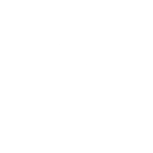ImageAnywhere