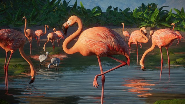 Planet Zoo: Americas Animal Pack screenshot 2