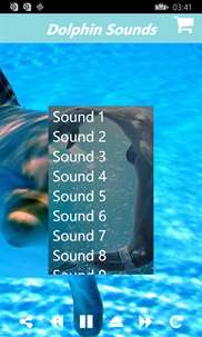 Relaxing Dolphin Sounds:Dolphins Sound With Soothing Music screenshot 4