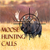 Moose hunting calls