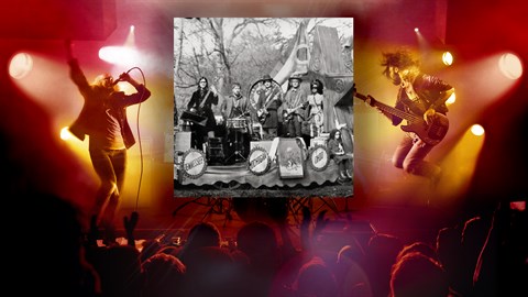 "Salute Your Solution" - The Raconteurs