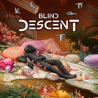 Blind Descent