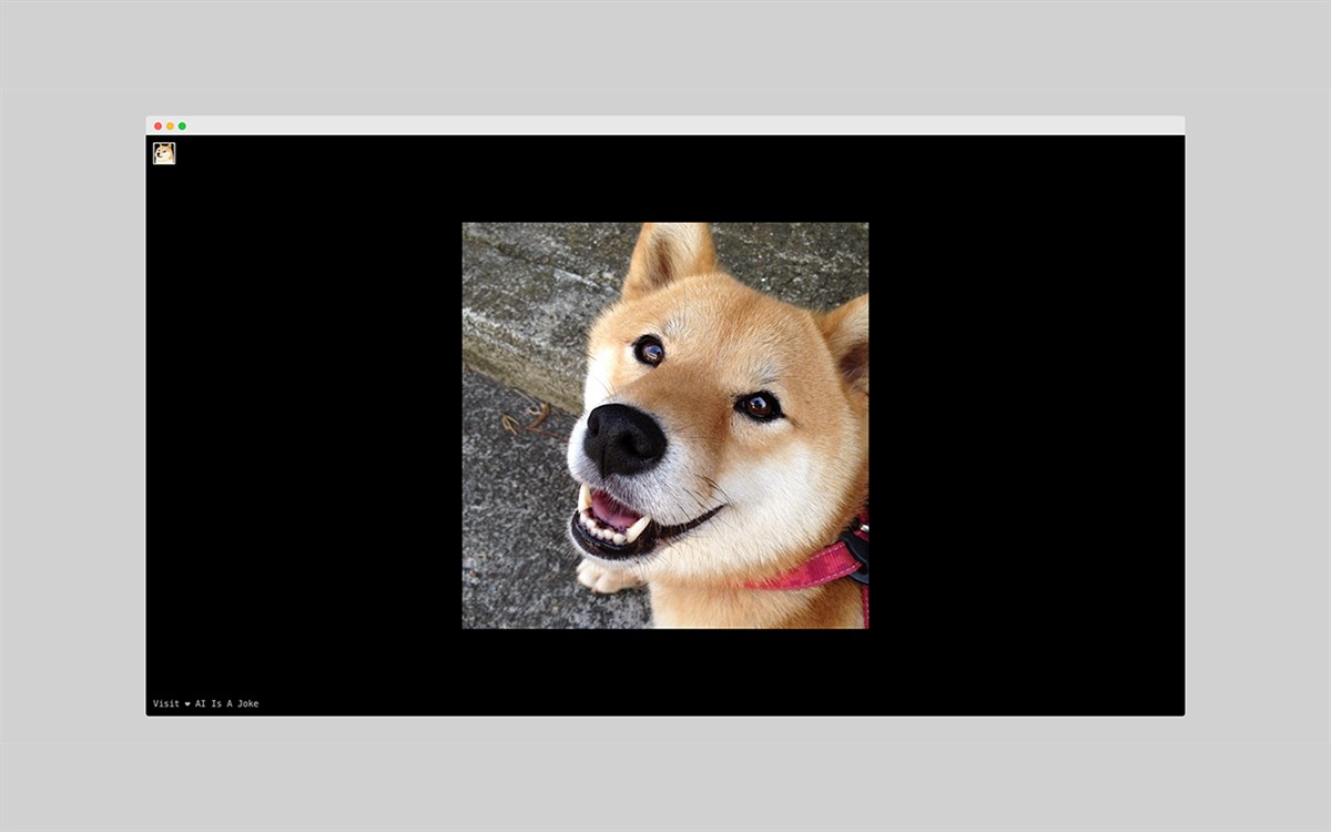 Shiba - Every Tab Random Shiba Inu