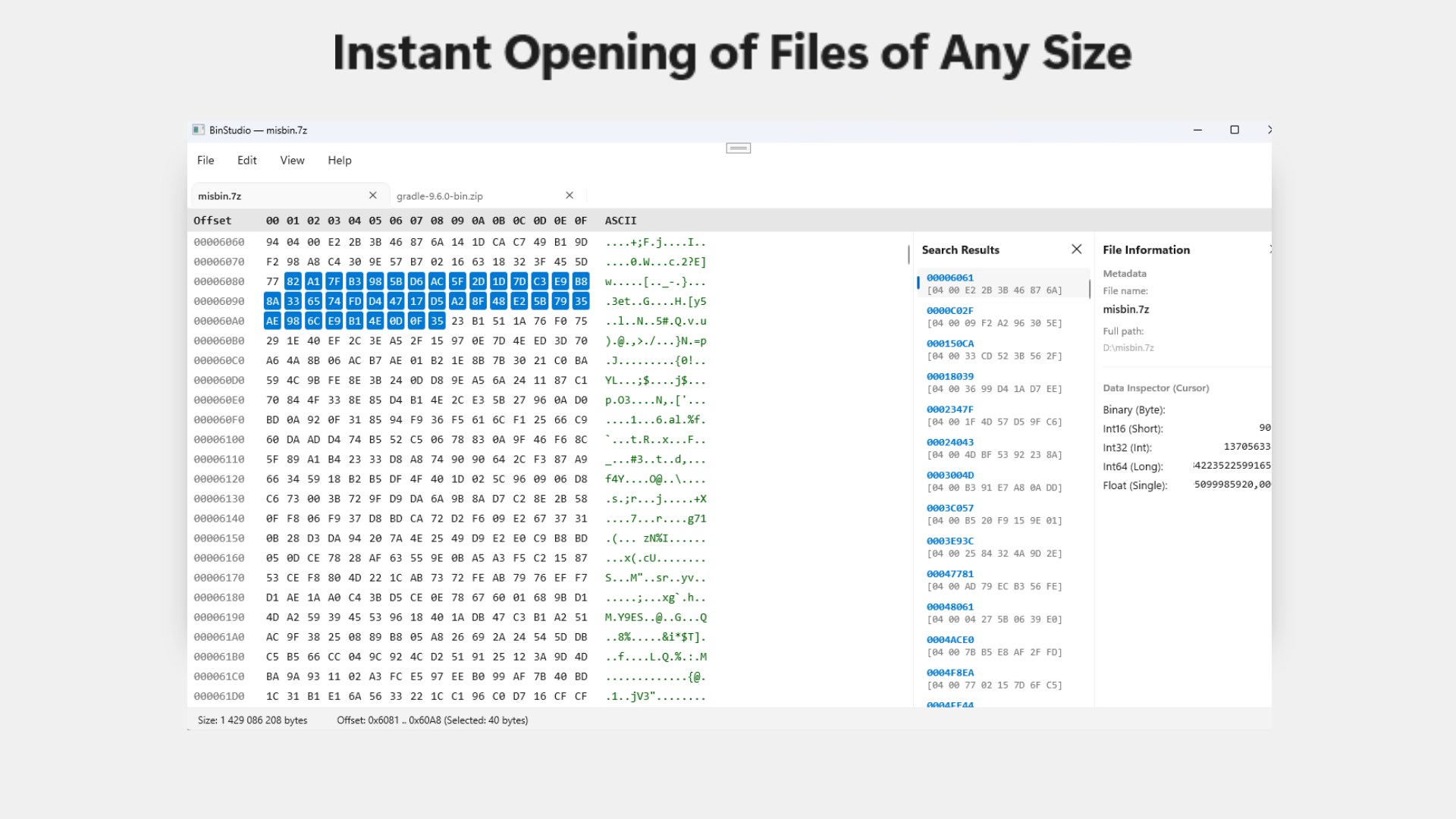 BinStudio — Fast HEX Editor & Binary Viewer screenshot