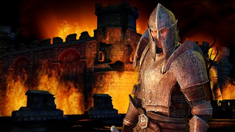 The Elder Scrolls IV: Oblivion Game of the Year Edition (PC) を 