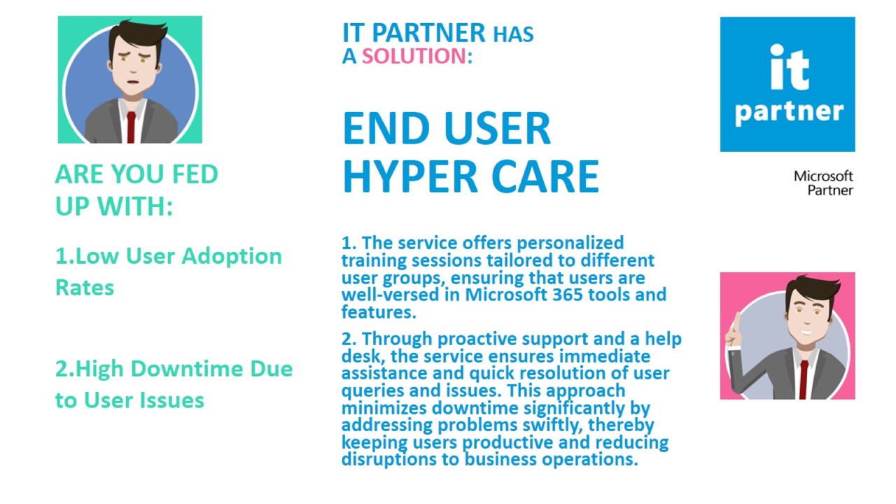 Snapshot 2 of End User Hyper Care: 10-Days Consulting Service