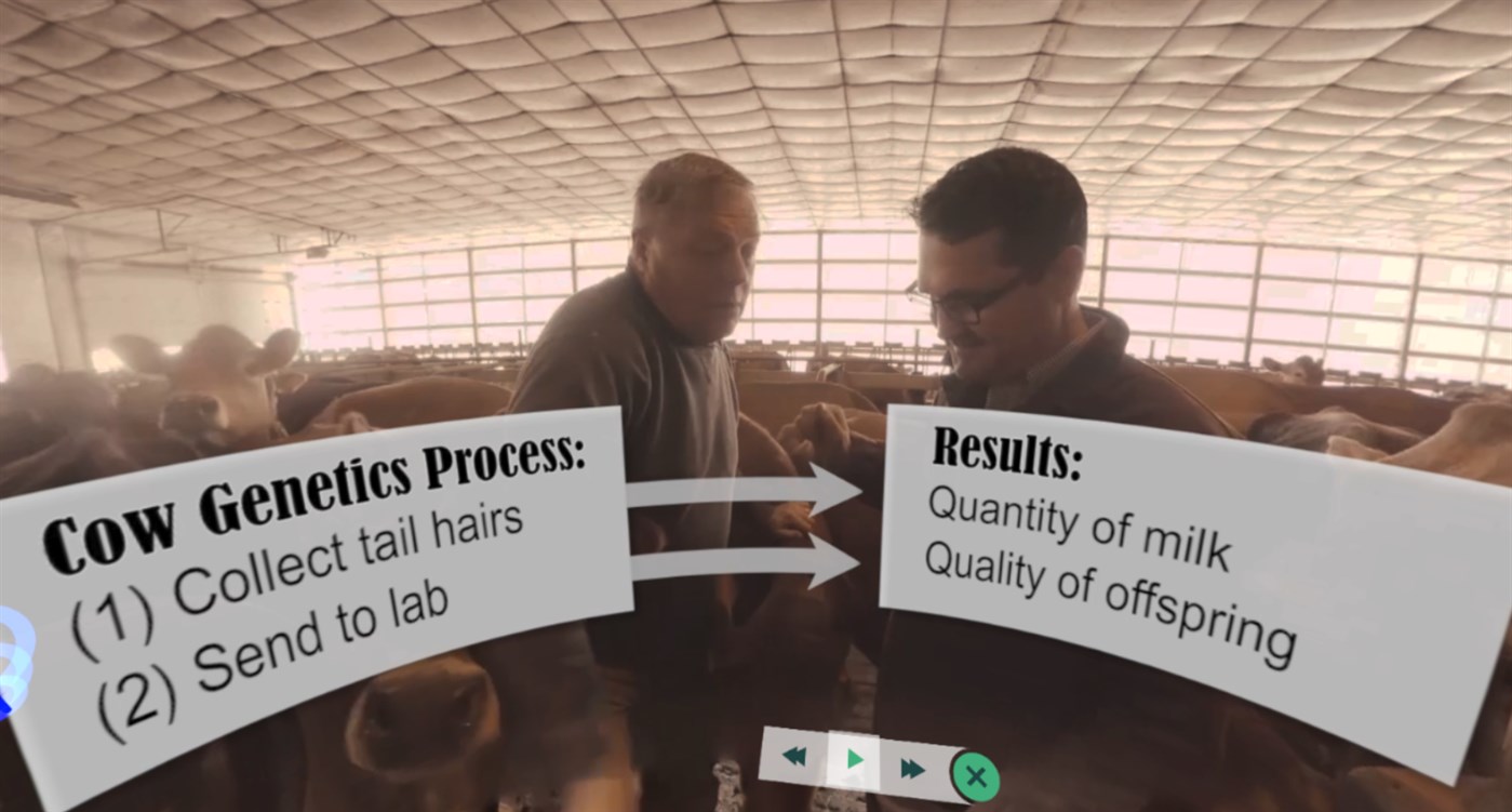 #2. DNA: Crack the Code (Windows) بواسطة: VictoryXR