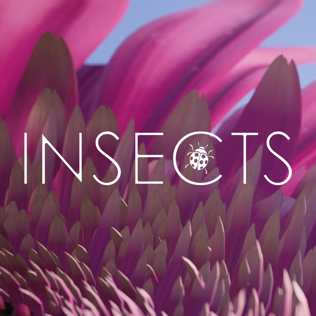 Insects: An Xbox One X Enhanced Experience