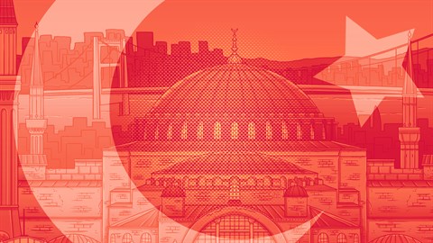 Hidden Cats in Istanbul