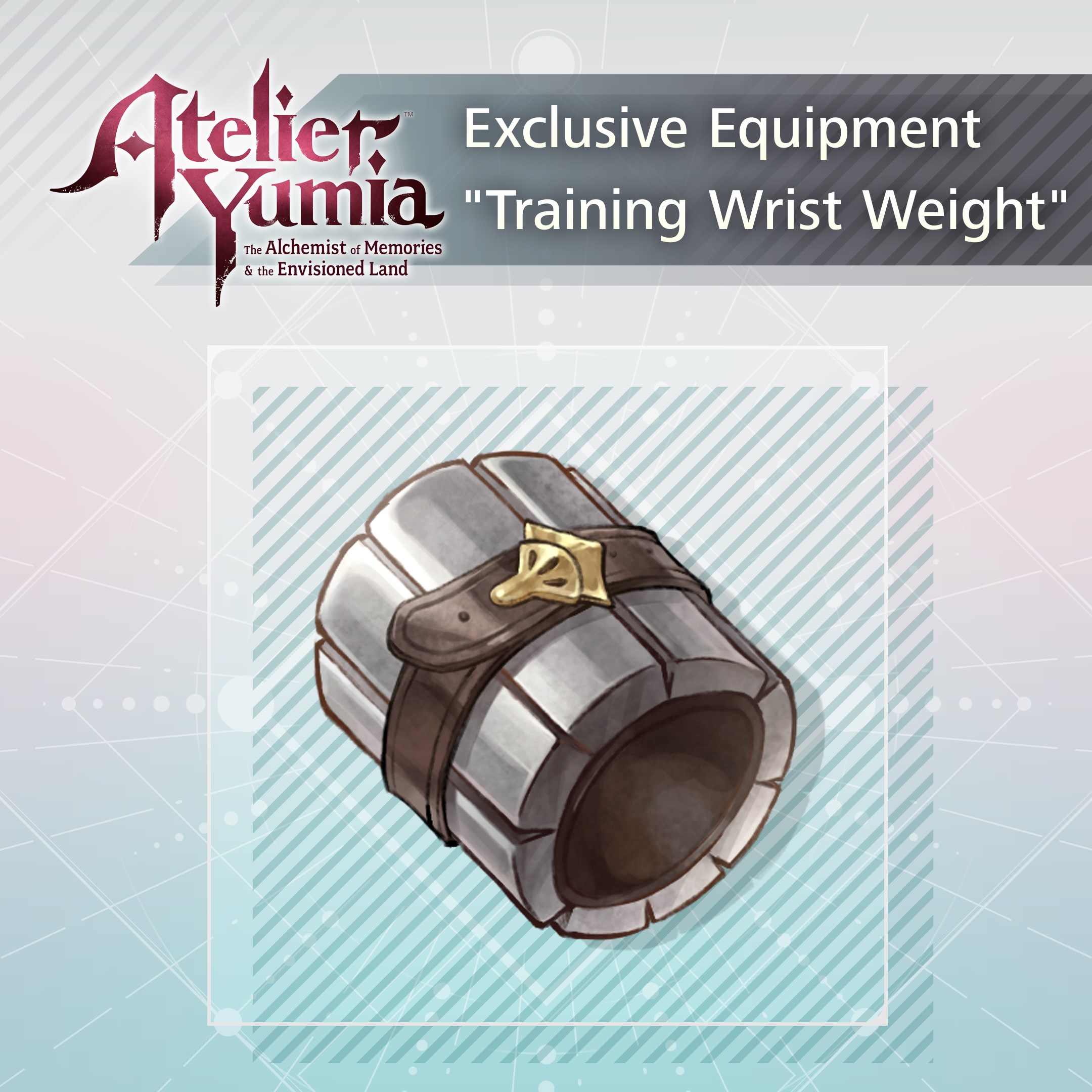 Exclusive Equipment "Training Wrist Weight"