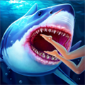 Angry Shark Attack Deep Sea Shark Hunter Games - Microsoft Apps