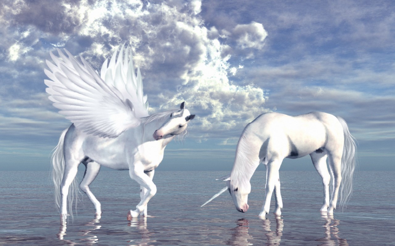 Unicorns - Magic Horse HD Wallpaper