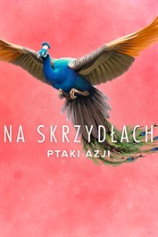 WINGSPAN (Na Skrzydłach): Ptaki Azji
