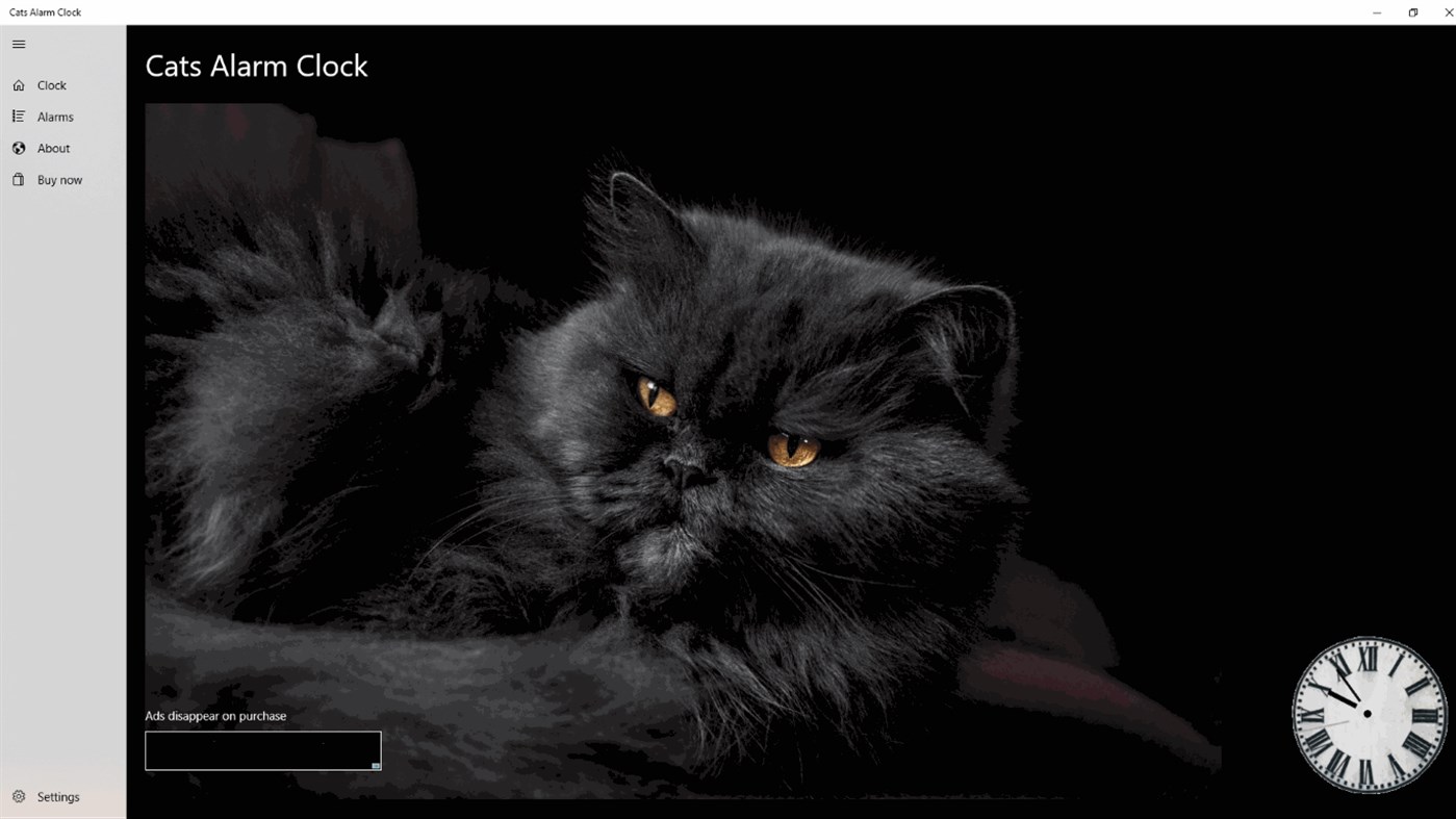 #1. Cats Alarm Clock (Windows) 由: Alphawolf Software Limited