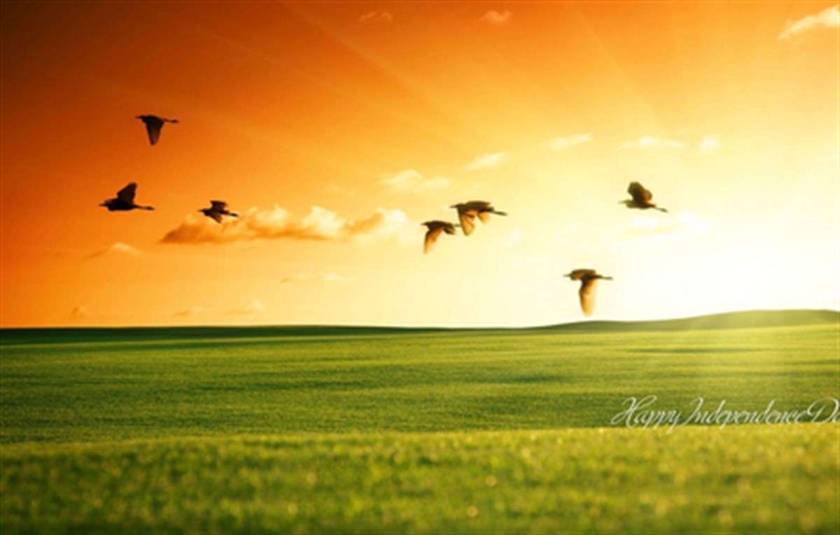 India Flag Wallpaper New Tab