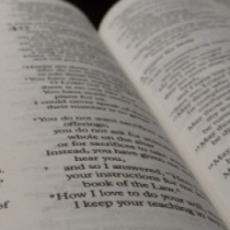 Discovering Bible Reading