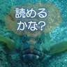 Fish Name Kanji