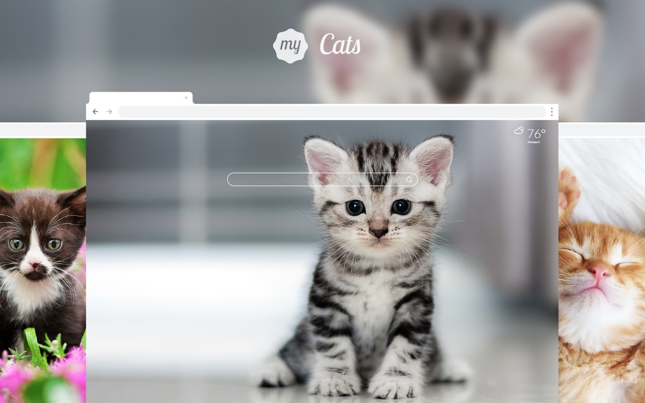 My Cats - Adorable Cat & Kitten Wallpapers - Microsoft Edge Addons