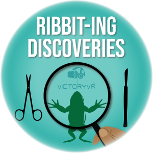 VR Frog Dissection: Ribbit-ing Discoveries