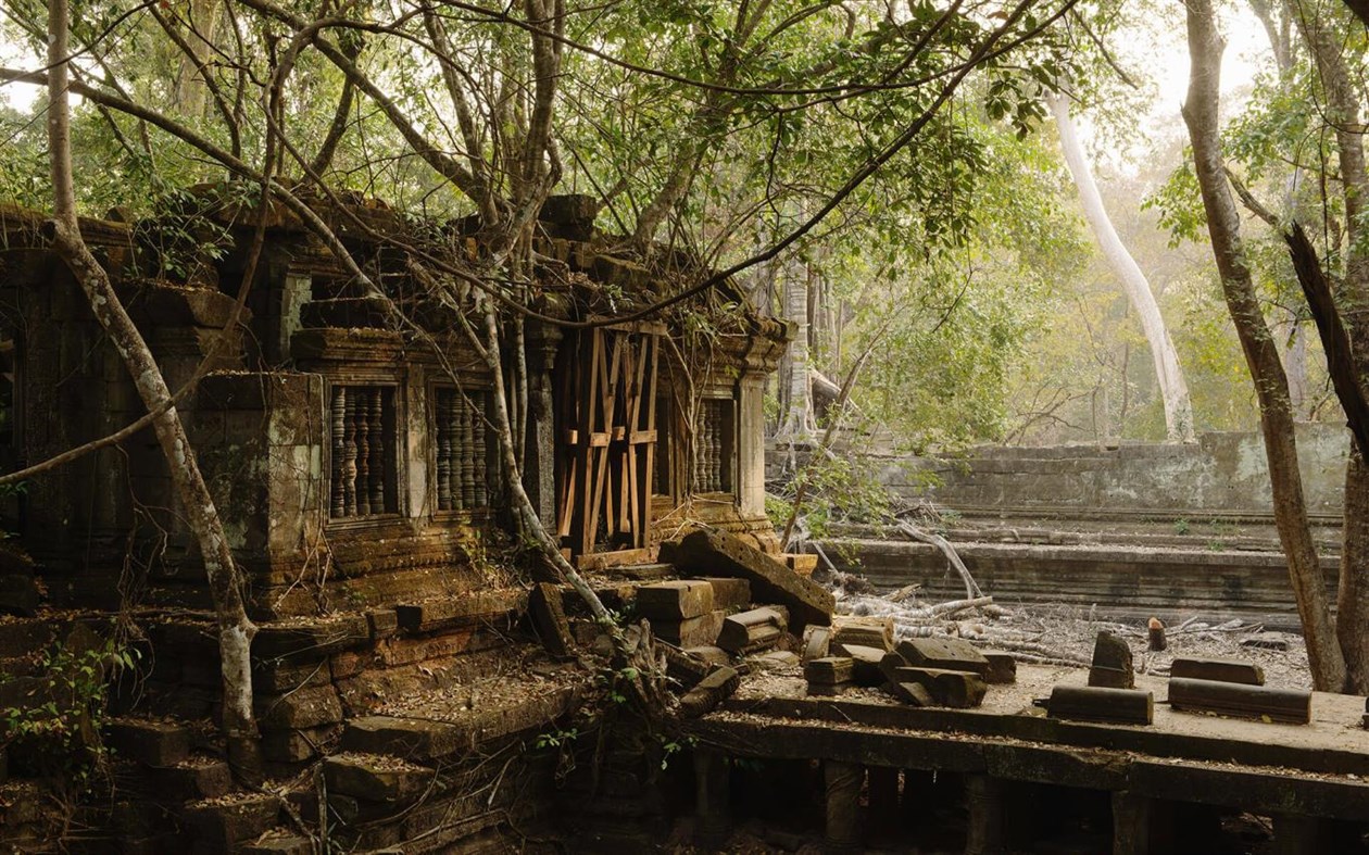 #4. Reclaimed by Nature (Windows) 由: Microsoft Corporation