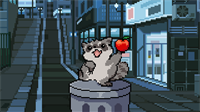 Raccoon is Hungry (Windows)