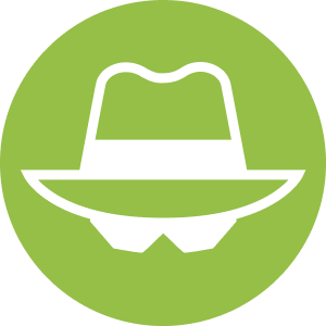 Shopify Theme Detector by Shopify Spy icon