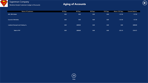 Simple Customer Ledger of Accounts Screenshots 2