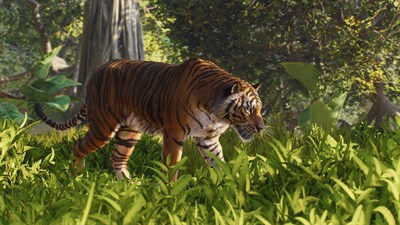 Planet Zoo 2 — скриншот 6