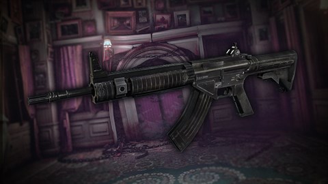 Raid Mode: Assault Rifle NSR47 & Parts