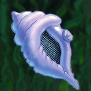 Magic Conch