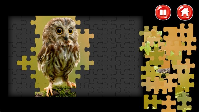 Owl Jigsaw Puzzles screenshot 3